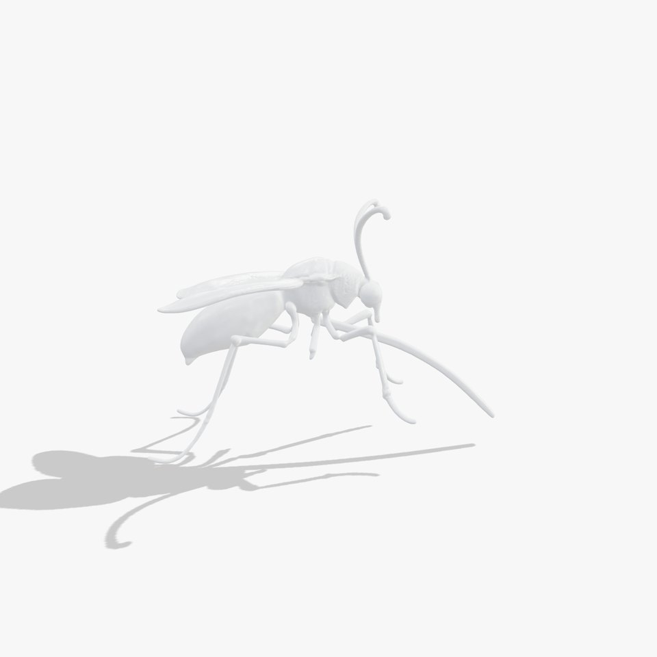 Mechanical Insect Model Pack with Textured Metallic Surface